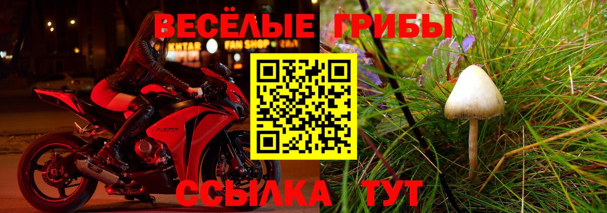 Галлюциногенные грибы мухоморы Ростов Великий