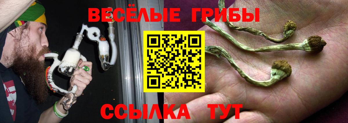 Псилоцибиновые грибы Psilocybe  где найти наркотики  Ростов Великий  Вход с VPN 
